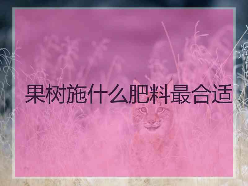 果树施什么肥料最合适