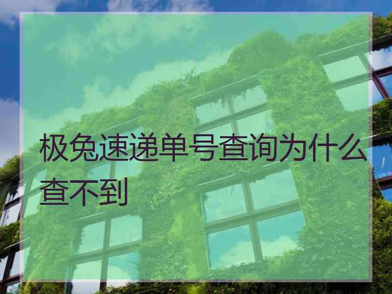 极兔速递单号查询为什么查不到