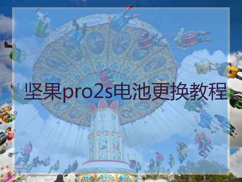 坚果pro2s电池更换教程