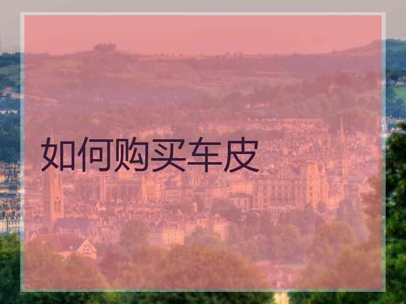 如何购买车皮