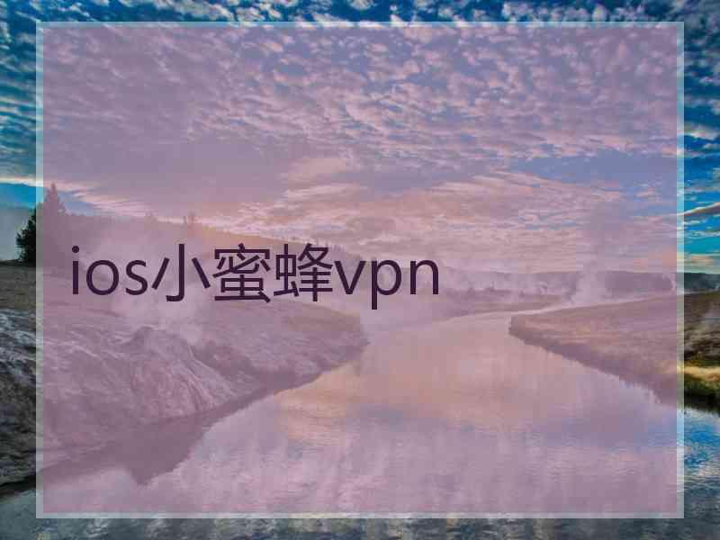 ios小蜜蜂vpn