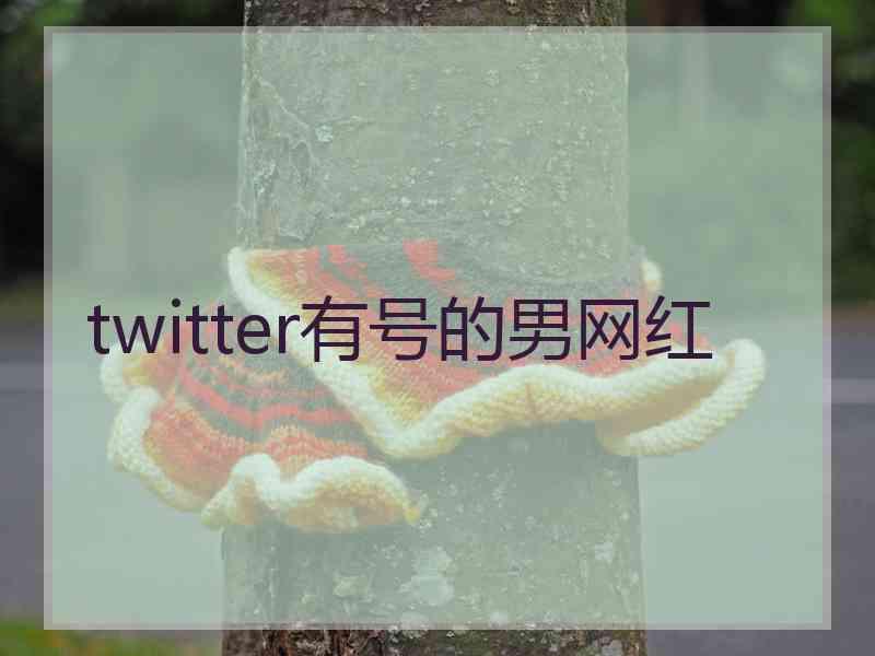 twitter有号的男网红