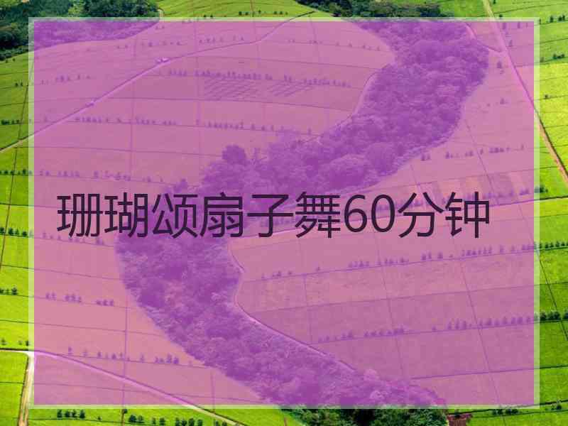 珊瑚颂扇子舞60分钟