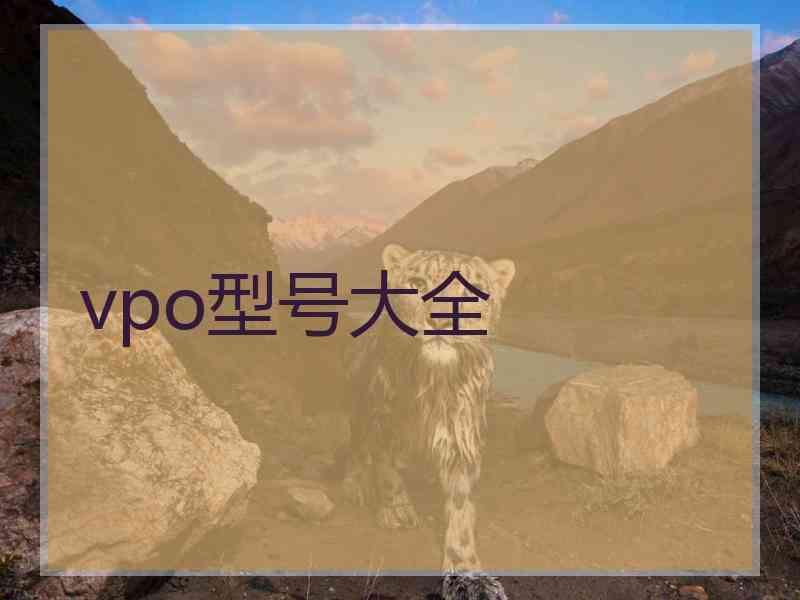 vpo型号大全