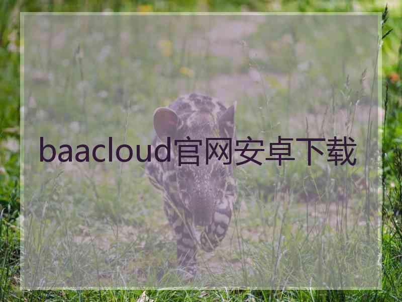 baacloud官网安卓下载