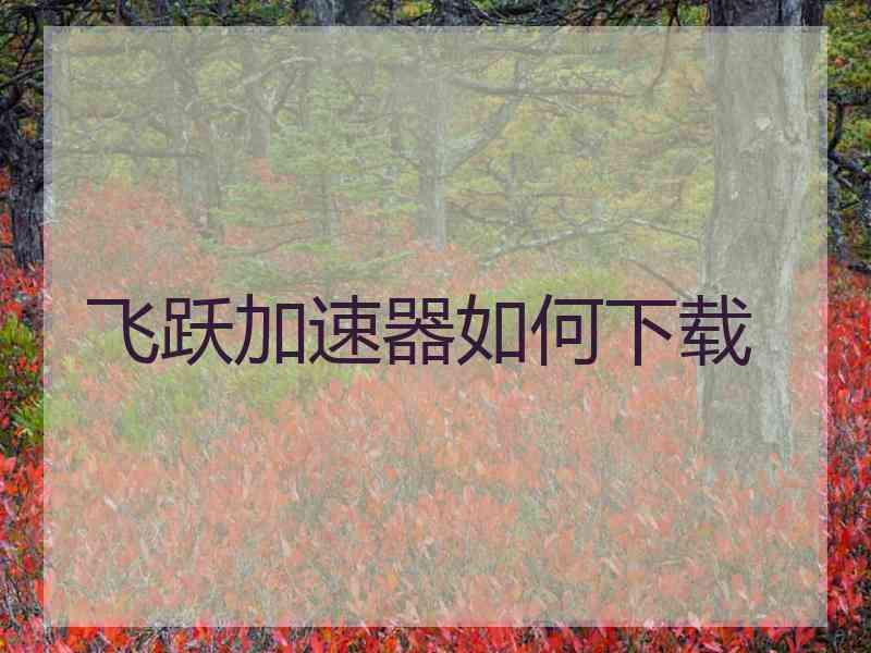 飞跃加速器如何下载