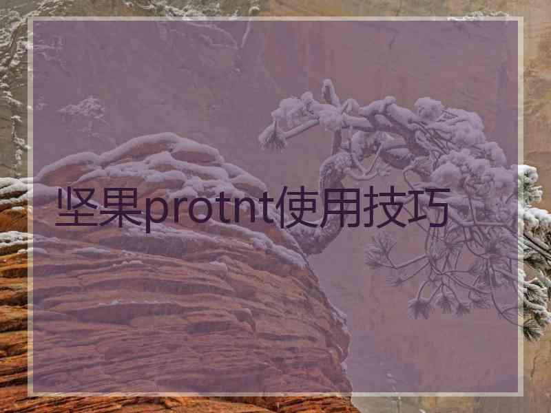 坚果protnt使用技巧
