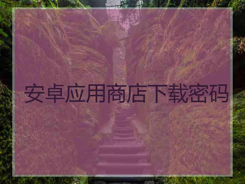 安卓应用商店下载密码