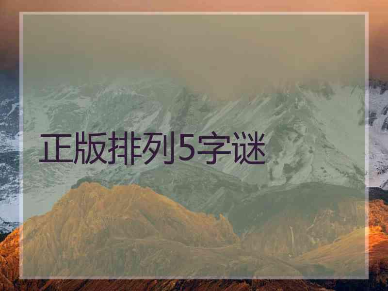 正版排列5字谜
