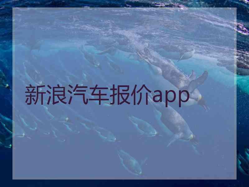 新浪汽车报价app