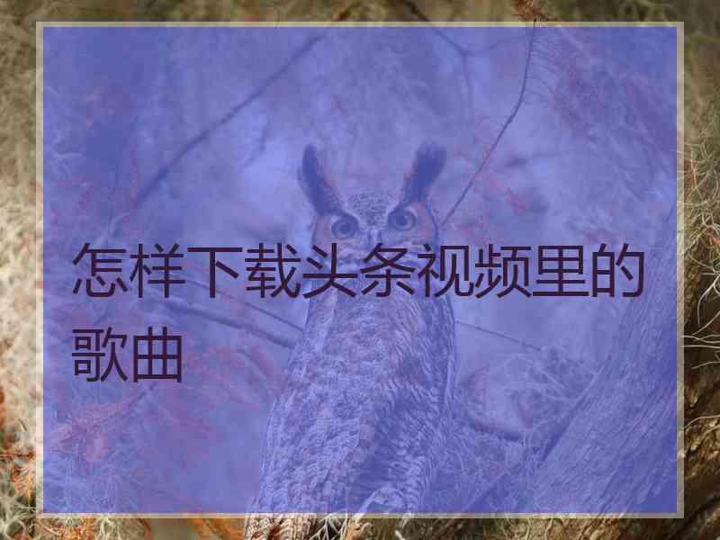 怎样下载头条视频里的歌曲