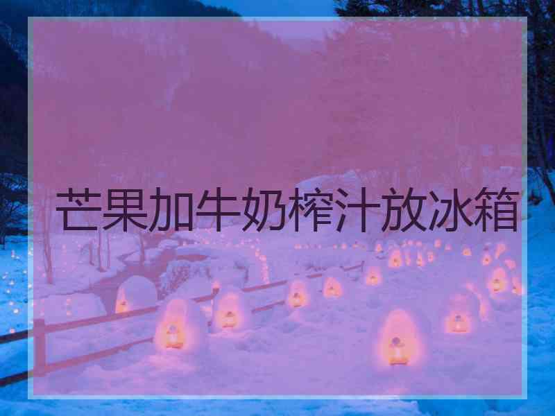 芒果加牛奶榨汁放冰箱