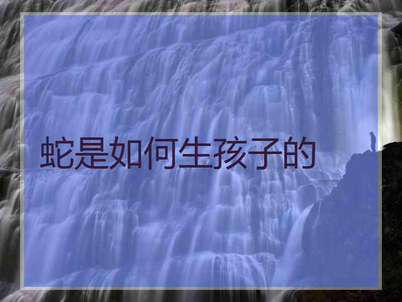 蛇是如何生孩子的