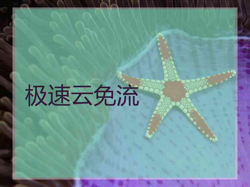 极速云免流