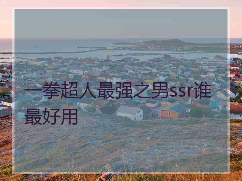 一拳超人最强之男ssr谁最好用