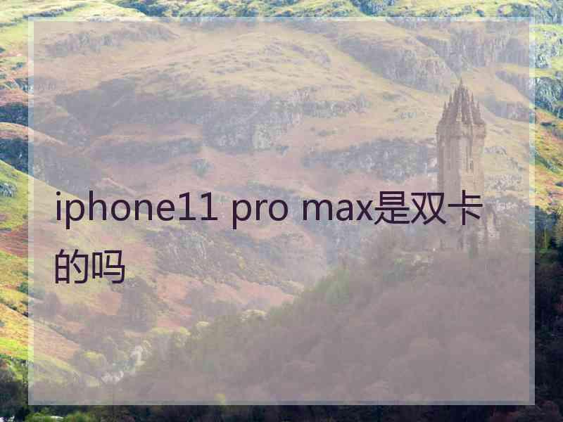 iphone11 pro max是双卡的吗
