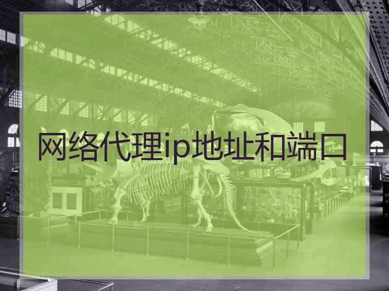 网络代理ip地址和端口