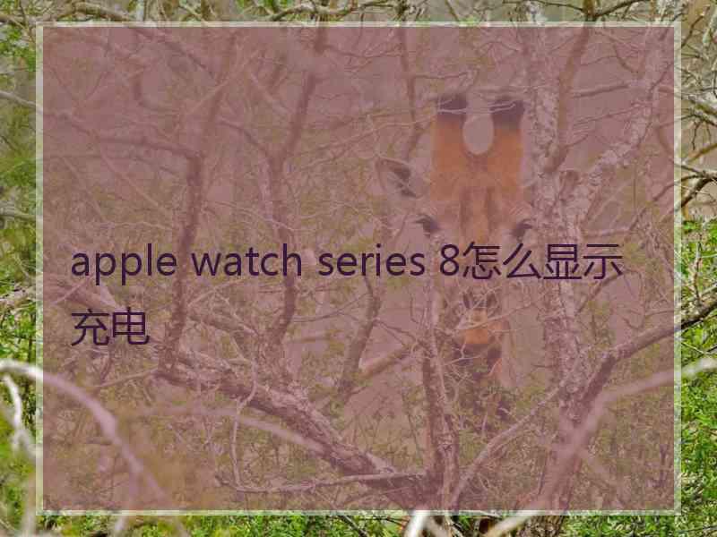 apple watch series 8怎么显示充电