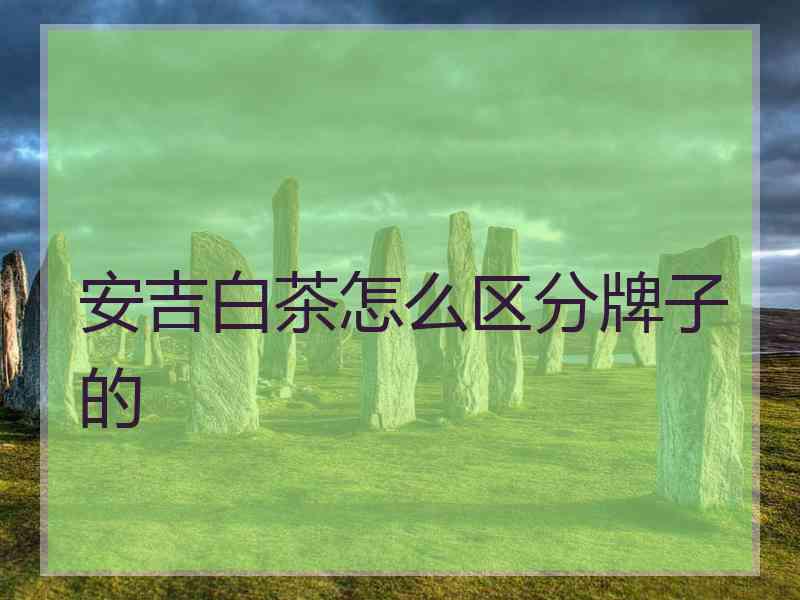 安吉白茶怎么区分牌子的