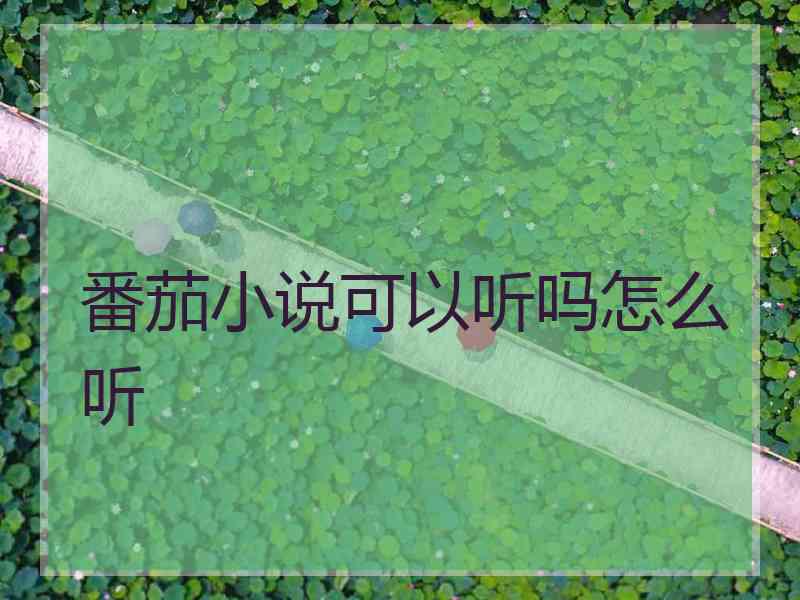 番茄小说可以听吗怎么听