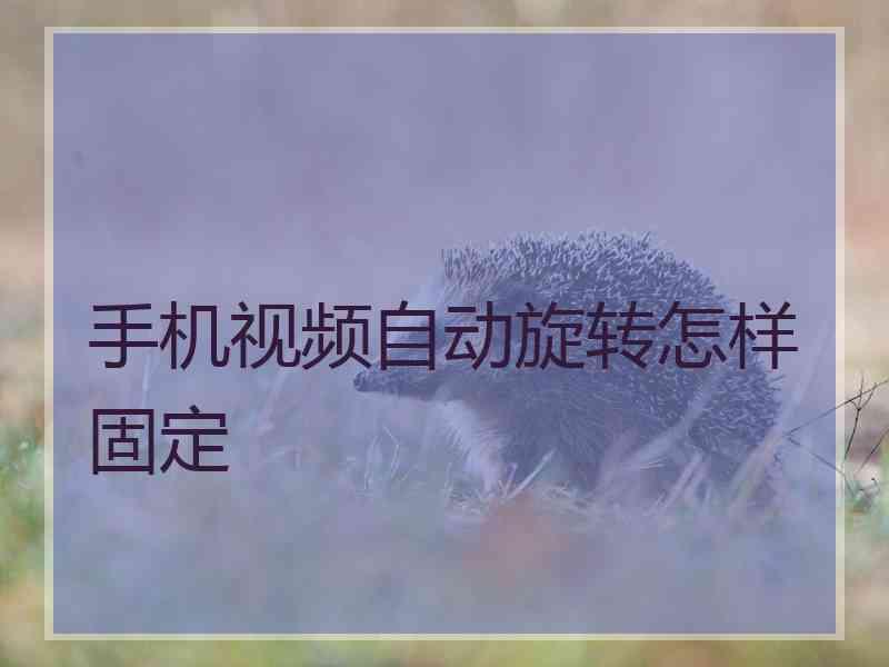 手机视频自动旋转怎样固定