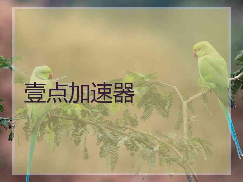 壹点加速器