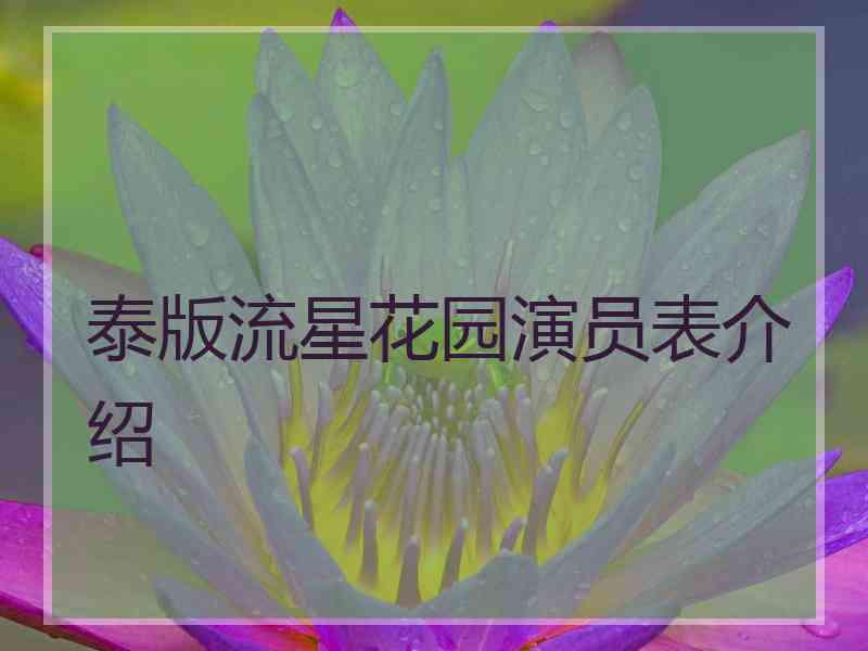 泰版流星花园演员表介绍
