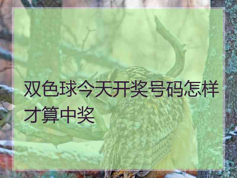 双色球今天开奖号码怎样才算中奖