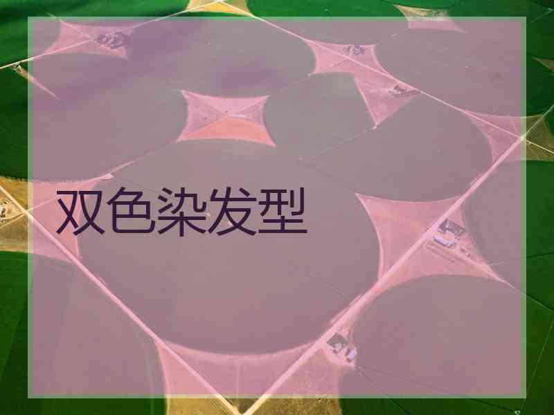 双色染发型