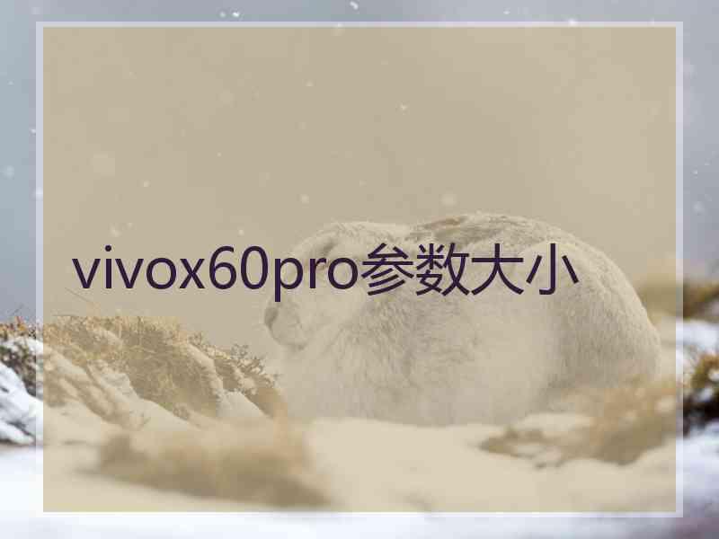 vivox60pro参数大小