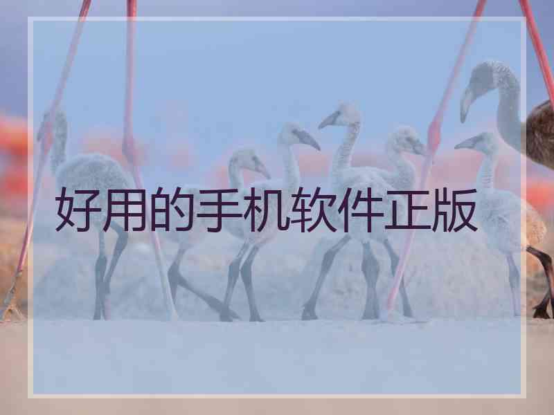 好用的手机软件正版