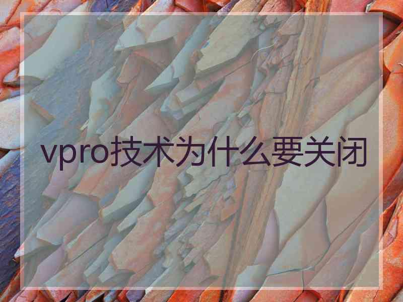vpro技术为什么要关闭