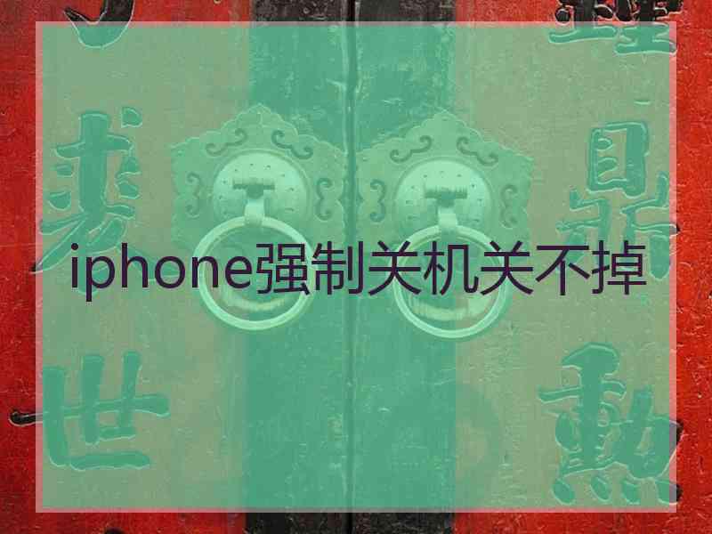 iphone强制关机关不掉