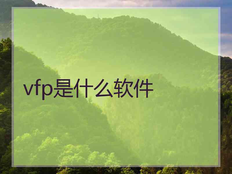 vfp是什么软件