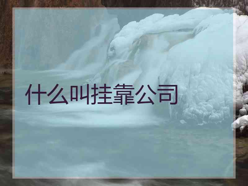 什么叫挂靠公司
