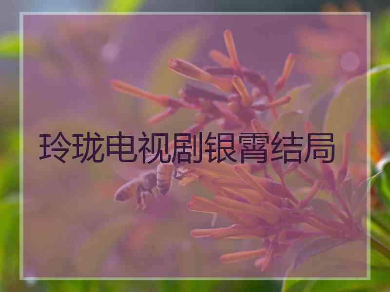 玲珑电视剧银霄结局