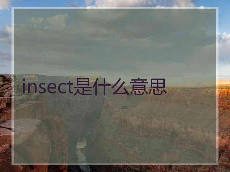 insect是什么意思