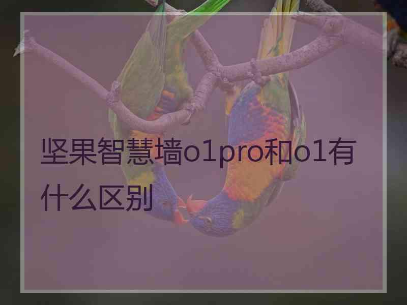 坚果智慧墙o1pro和o1有什么区别
