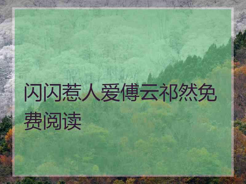 闪闪惹人爱傅云祁然免费阅读