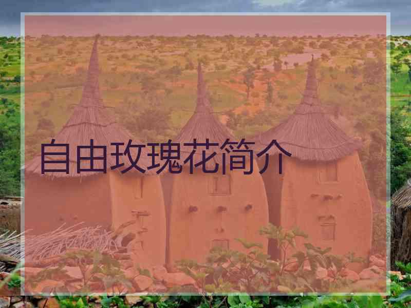 自由玫瑰花简介