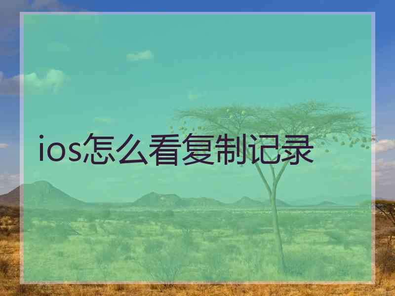 ios怎么看复制记录