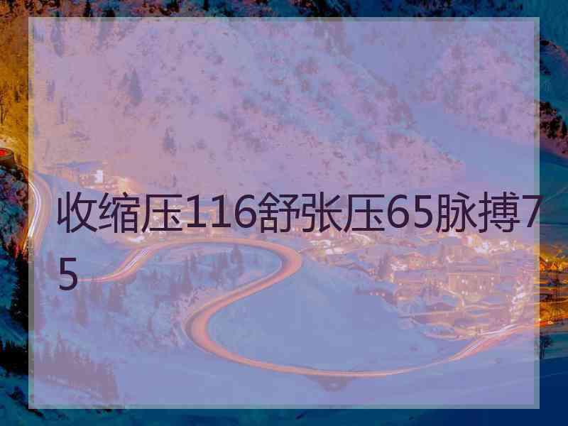 收缩压116舒张压65脉搏75