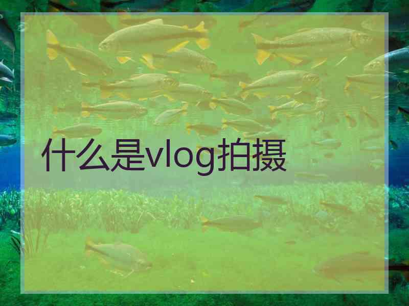 什么是vlog拍摄