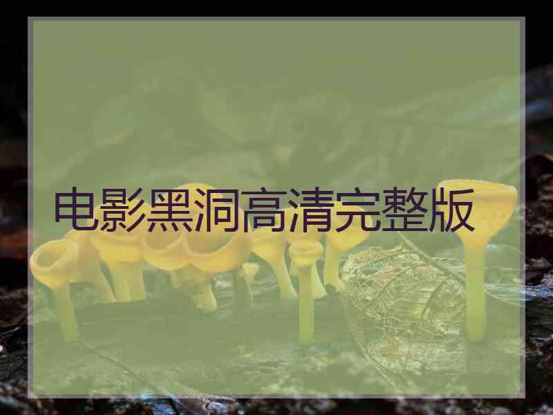 电影黑洞高清完整版