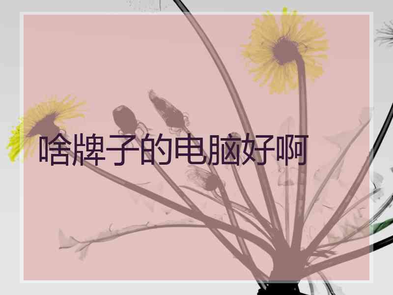 啥牌子的电脑好啊