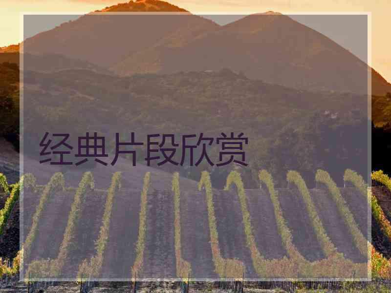 经典片段欣赏