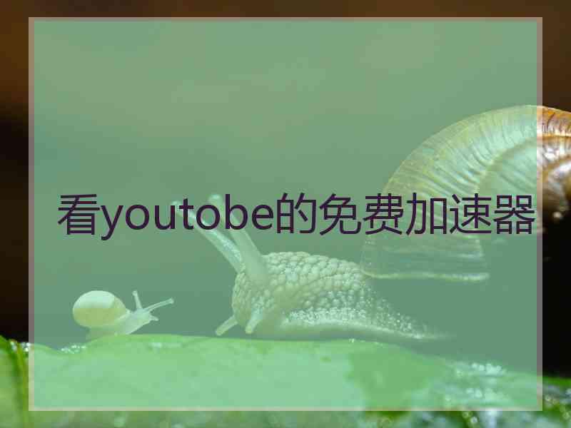 看youtobe的免费加速器