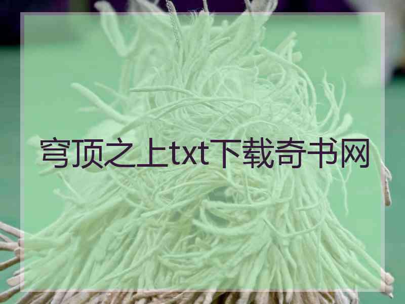 穹顶之上txt下载奇书网