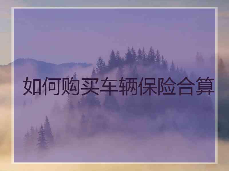 如何购买车辆保险合算