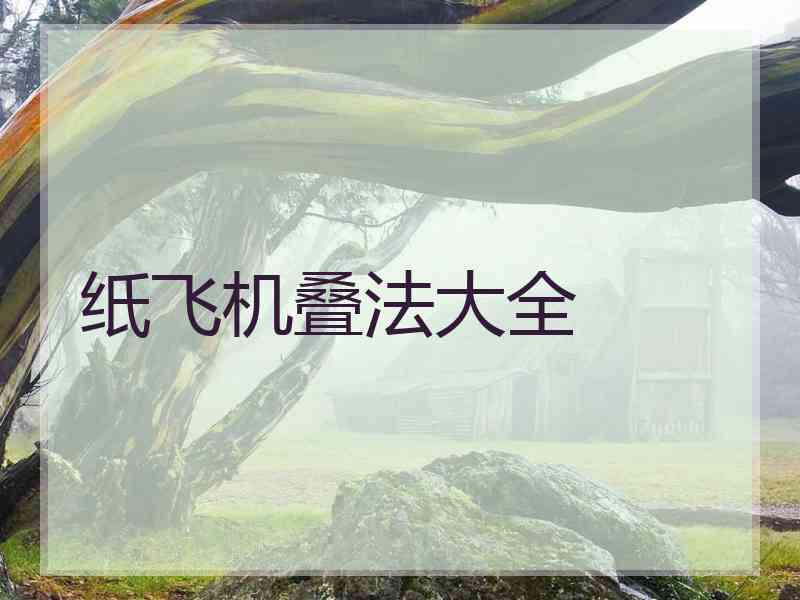纸飞机叠法大全